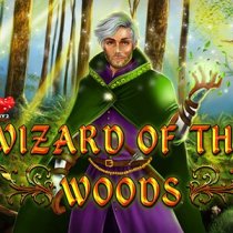 Jogo Wizard of the Woods online Jogar Wizard of the Woods