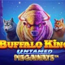 Buffalo King Untamed Megaways